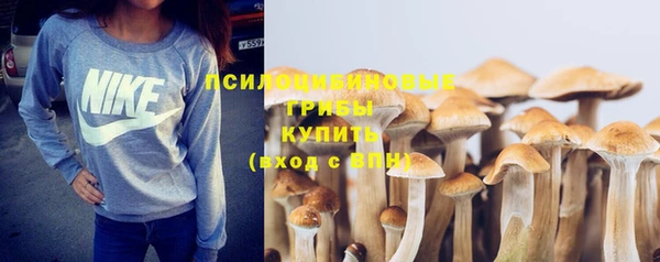 jwh Аркадак