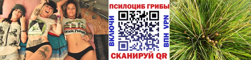 darknet как зайти Калтан Галлюциногенные грибы Psilocybe кракен рабочий сайт